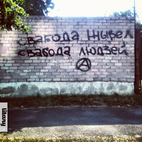 zabory_06