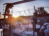 zabory_15