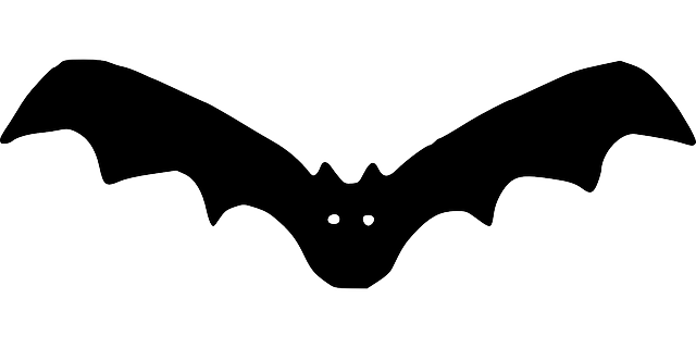 bat-36252_640