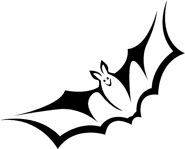 bat-42528_640