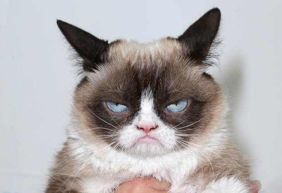 505364357DL009_The_Grumpy_G
