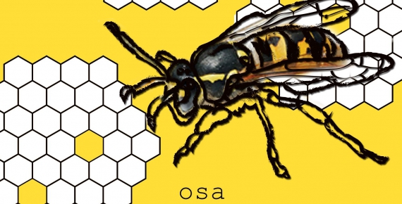 osa